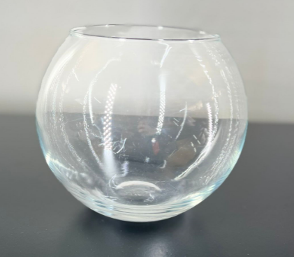 Akvaryum Cam Vazo 15cm*15cm